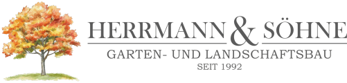 2025 Logo transparent